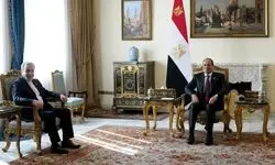 عراقچی با رئیس جمهور مصر دیدار کرد 