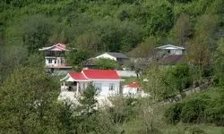 مساله جنگ و هجوم به ریه‌های سبز ایران/ آیا جنگ عامل تازه جنگل‌خواری خواهد شد؟