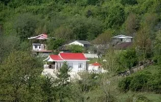 مساله جنگ و هجوم به ریه‌های سبز ایران/ آیا جنگ عامل تازه جنگل‌خواری خواهد شد؟