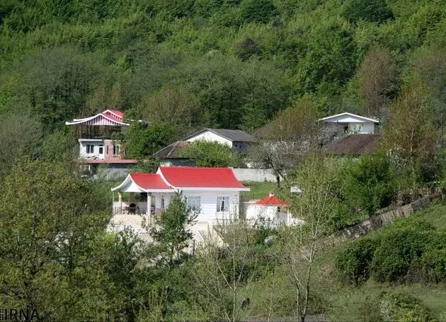 مساله جنگ و هجوم به ریه‌های سبز ایران/ آیا جنگ عامل تازه جنگل‌خواری خواهد شد؟