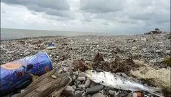 خون به دل طبیعت شمال ایران