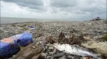خون به دل طبیعت شمال ایران