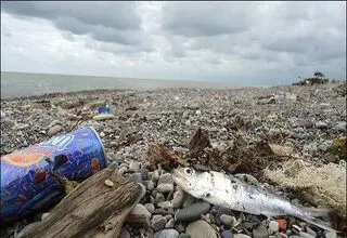 خون به دل طبیعت شمال ایران