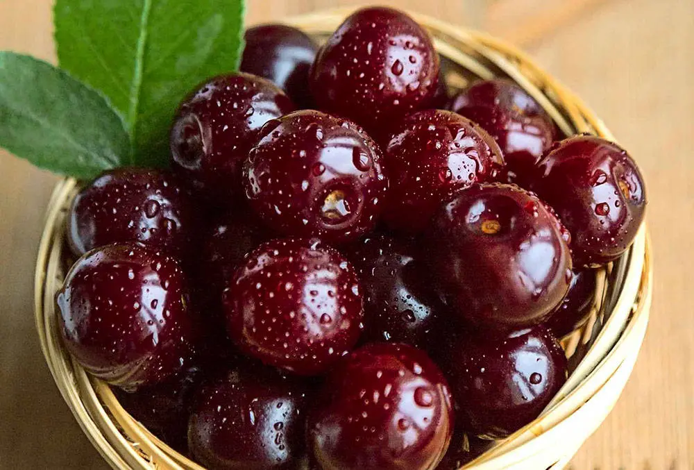 آنتی‌اکسیدانی قوی در سبد میوه تابستانی