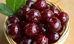 آنتی‌اکسیدانی قوی در سبد میوه تابستانی