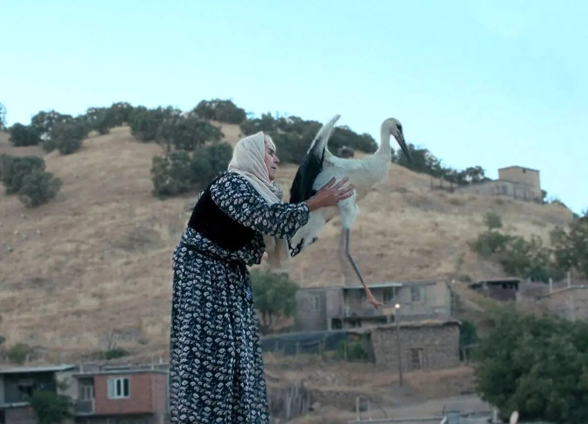 یک مستند ایرانی برنده جشنواره فیلم بوسان شد