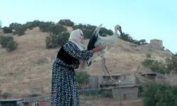 یک مستند ایرانی برنده جشنواره فیلم بوسان شد