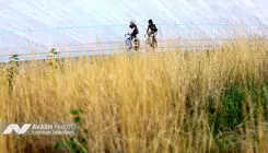 عملکرد صفر دوچرخه‌سواری ایران در بحرین