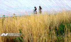 عملکرد صفر دوچرخه‌سواری ایران در بحرین