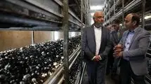 میدری: به همت کارگران در ایام جنگ، مواد غذایی بدون مشکل تولید شد