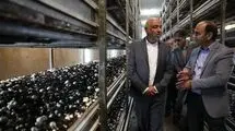 میدری: به همت کارگران در ایام جنگ، مواد غذایی بدون مشکل تولید شد