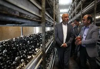 میدری: به همت کارگران در ایام جنگ، مواد غذایی بدون مشکل تولید شد