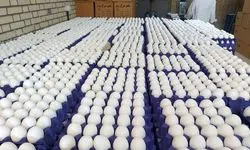 خرید حمایتی تخم‌مرغ به‌صورت پلکانی انجام می‌شود 