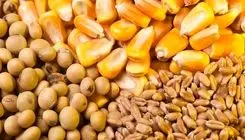 برای تامین کالاهای اساسی مشکلی وجود ندارد