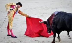 حمله ترسناک یک گاو به چند زن