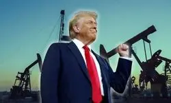 نفت و چند چیز کوچک دیگر/ دلایل واقعی ترامپ برای تهدید نیجریه چیست؟ 