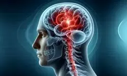 با ورزش منظم از پیری مغز جلوگیری کنید