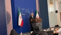 بقائی:خبر ناپدید شدن امیر موسوی را شنیدیم