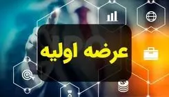 خبر مهم درباره عرضه اولیه جدید بورس اعلام شد