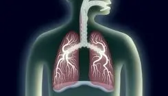 تاثیر آلودگی هوا بر کاهش عملکرد ریه 