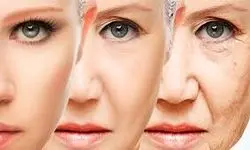 چه غذاهایی پوست را پیر می‌کنند؟ 
