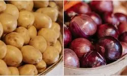 پیاز و سیب‌زمینی در آستانه انفجار قیمت