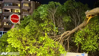 وزش باد قابل توجه از دوشنبه ۱۸ اسفند