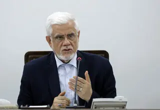 عارف: دولت پشت بازار سرمایه ایستاده است 