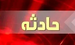 فیلم لحظه ربوده شدن پسر نماینده سابق زاهدان در مجلس