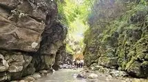 سفر یک روزه به آمازون ایران؛ تنگه دار نوشهر