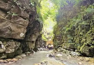 سفر یک روزه به آمازون ایران؛ تنگه دار نوشهر
