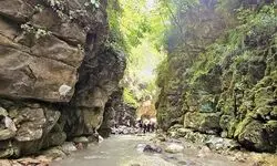 سفر یک روزه به آمازون ایران؛ تنگه دار نوشهر