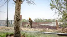 پویش ملی دانشجویان برای کاشت درخت به یاد رهبر شهید
