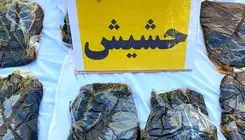 ضربه قاطع پلیس خوزستان به سوداگران مرگ / کشف 20 کیلو حشیش در اهواز