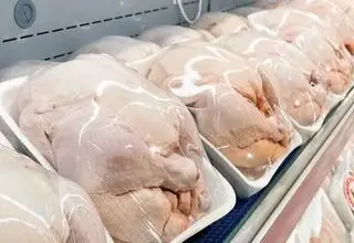 ماجرای ۲۰۰۰ تن مرغ تاریخ گذشته در تهران چه بود؟