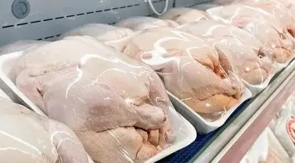 احتمال تغییر قیمت مرغ درپی افزایش هزینه‌ها