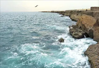  آب‌های عمان سرخ شد/ ببینید