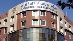 عرضه بیش از ۳ میلیون و ۵۵۹ هزار تن انواع محصولات در بورس کالا