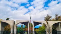 قربانیان اصلی خاموشی اینترنت