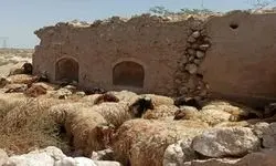 برای گوشت نمی توان نرخ مصوبی اعلام کرد