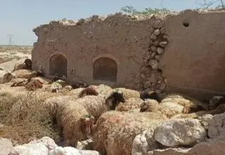 برای گوشت نمی توان نرخ مصوبی اعلام کرد