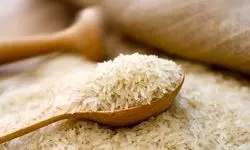 سود برنج ۲۰۰ هزارتومانی به جیب چه کسی می‌رود؟