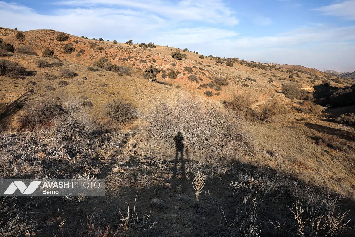 سرشماری پاییزه پارک ملی گلستان