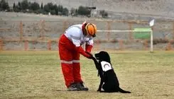 تجهیز سگ‌های زنده‌یاب هلال‌احمر به سامانه‌های هوشمند موقعیت‌یاب