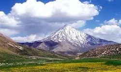 روزگار« سیاه» دیو «سپید» پای دربند