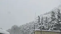 بارش برف ۲۰ سانتی‌متری در تهران+عکس