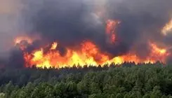 دادستان مازندران: با خاطیان آتش‌سوزی‌ جنگل الیت برخورد عبرت‌آموز صورت می‌گیرد