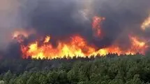 دادستان مازندران: با خاطیان آتش‌سوزی‌ جنگل الیت برخورد عبرت‌آموز صورت می‌گیرد