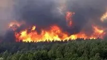 دادستان مازندران: با خاطیان آتش‌سوزی‌ جنگل الیت برخورد عبرت‌آموز صورت می‌گیرد