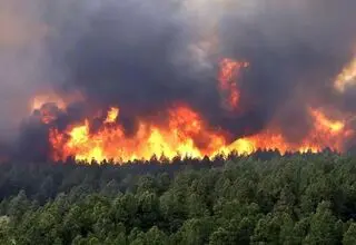 دادستان مازندران: با خاطیان آتش‌سوزی‌ جنگل الیت برخورد عبرت‌آموز صورت می‌گیرد